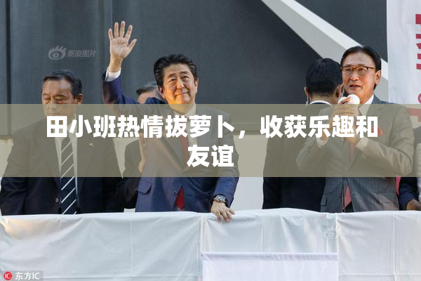田小班热情拔萝卜，收获乐趣和友谊