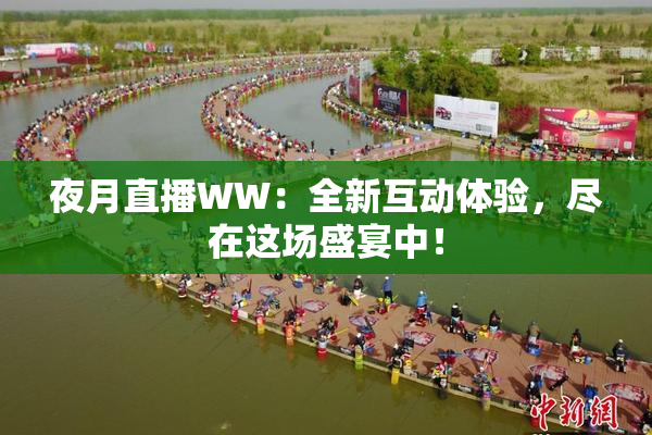 夜月直播WW：全新互动体验，尽在这场盛宴中！