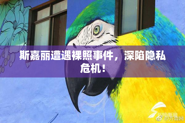 斯嘉丽遭遇裸照事件，深陷隐私危机！