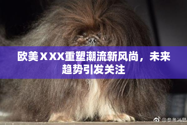欧美ⅩXX重塑潮流新风尚，未来趋势引发关注