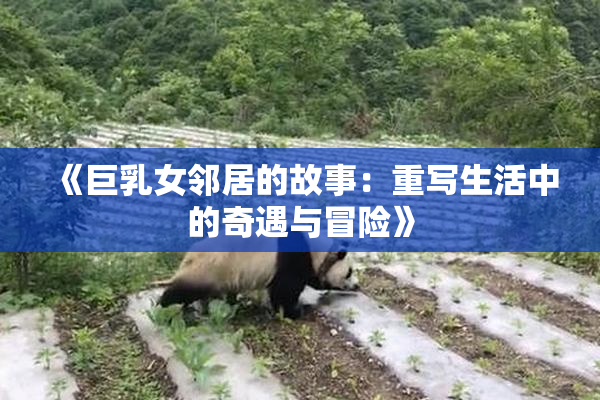 《巨乳女邻居的故事：重写生活中的奇遇与冒险》
