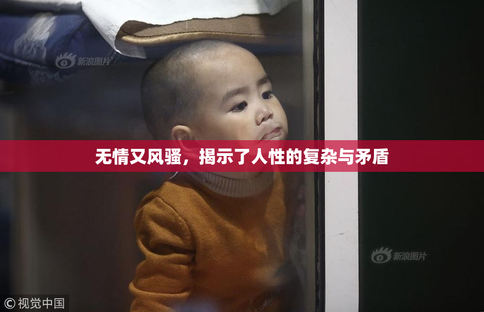 无情又风骚，揭示了人性的复杂与矛盾