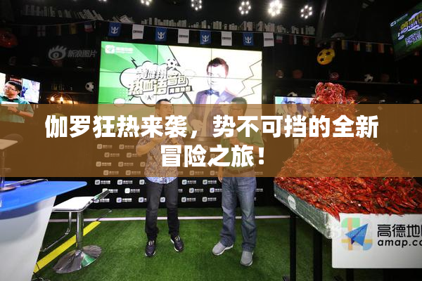伽罗狂热来袭，势不可挡的全新冒险之旅！