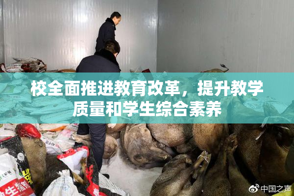 校全面推进教育改革，提升教学质量和学生综合素养