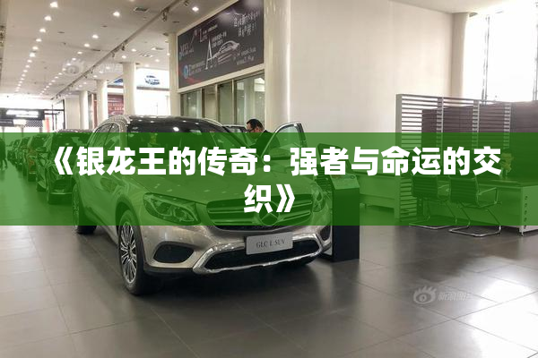 《银龙王的传奇：强者与命运的交织》