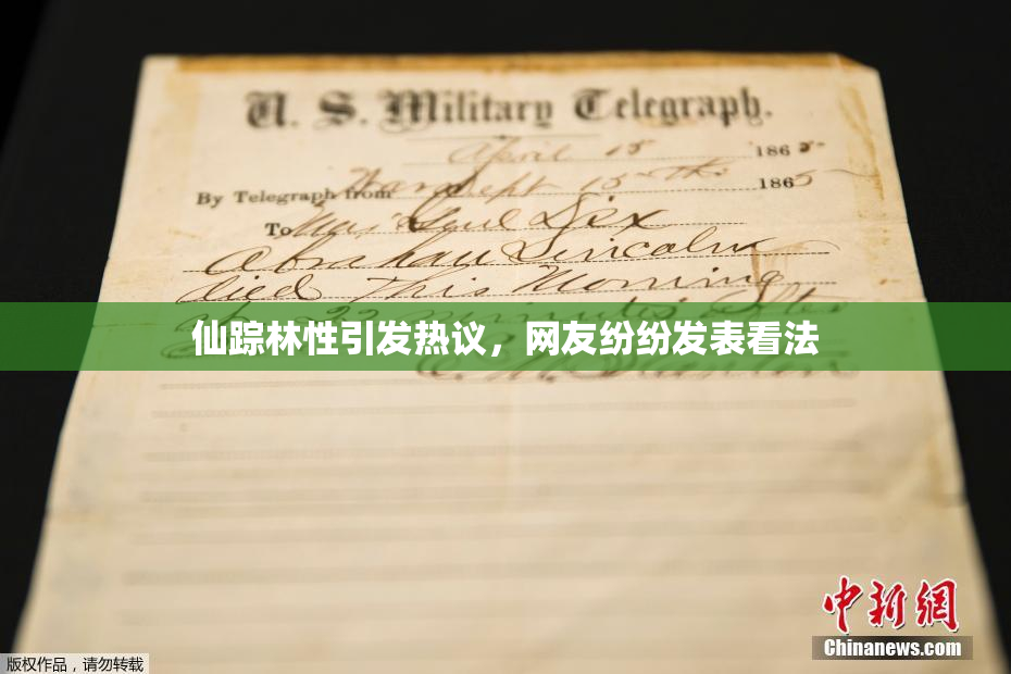 仙踪林性引发热议，网友纷纷发表看法
