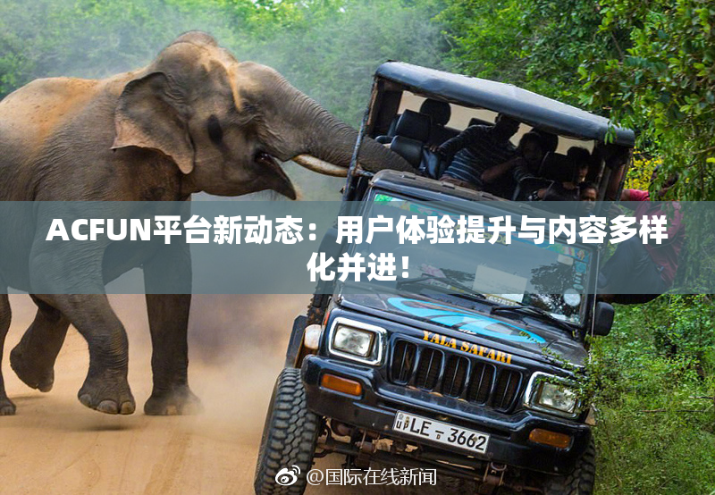 ACFUN平台新动态：用户体验提升与内容多样化并进！