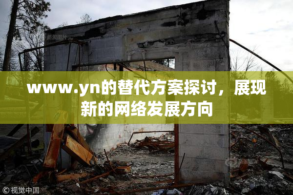 www.yn的替代方案探讨，展现新的网络发展方向