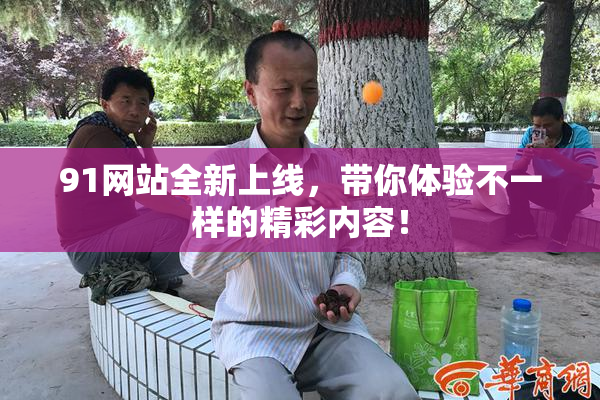 91网站全新上线，带你体验不一样的精彩内容！