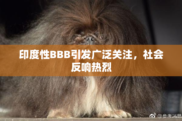 印度性BBB引发广泛关注，社会反响热烈