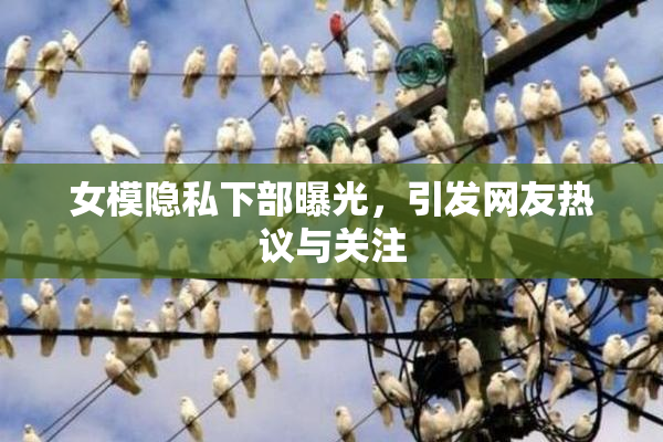 女模隐私下部曝光，引发网友热议与关注