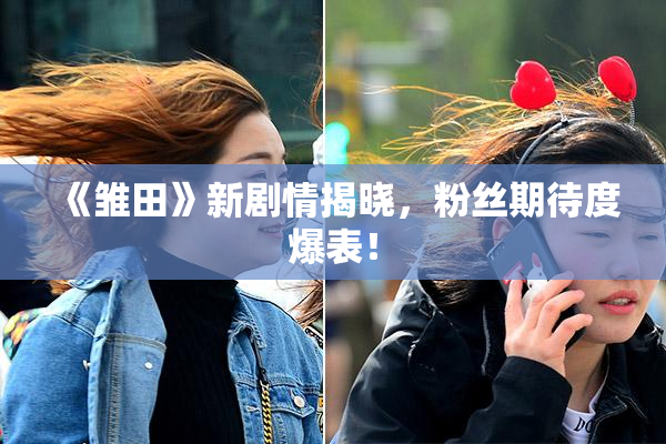 《雏田》新剧情揭晓，粉丝期待度爆表！
