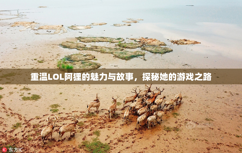 重温LOL阿狸的魅力与故事，探秘她的游戏之路