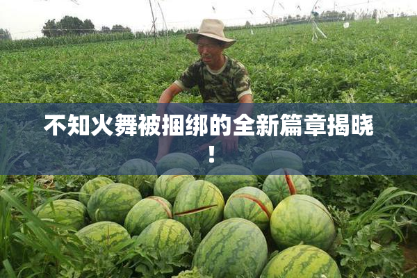 不知火舞被捆绑的全新篇章揭晓！
