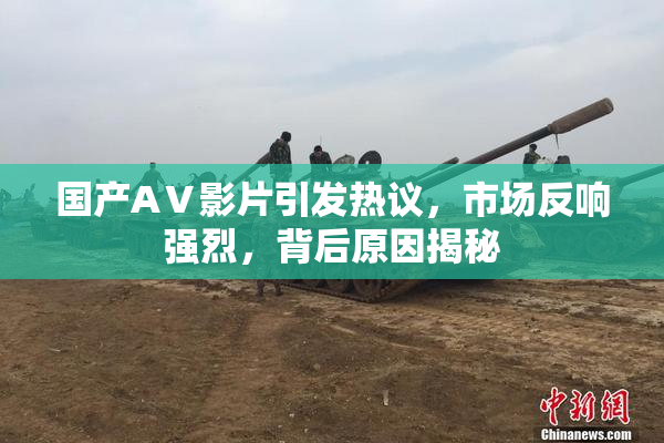 国产AⅤ影片引发热议，市场反响强烈，背后原因揭秘