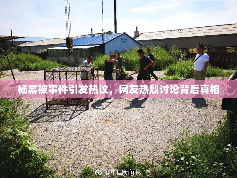 杨幂被事件引发热议，网友热烈讨论背后真相