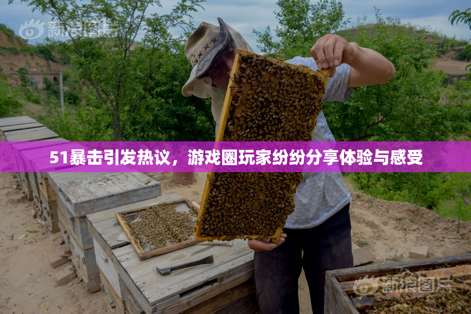 51暴击引发热议，游戏圈玩家纷纷分享体验与感受