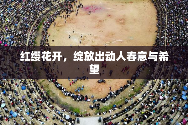 红缨花开，绽放出动人春意与希望