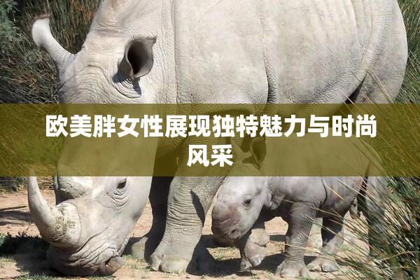 欧美胖女性展现独特魅力与时尚风采