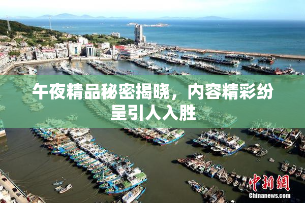 午夜精品秘密揭晓，内容精彩纷呈引人入胜