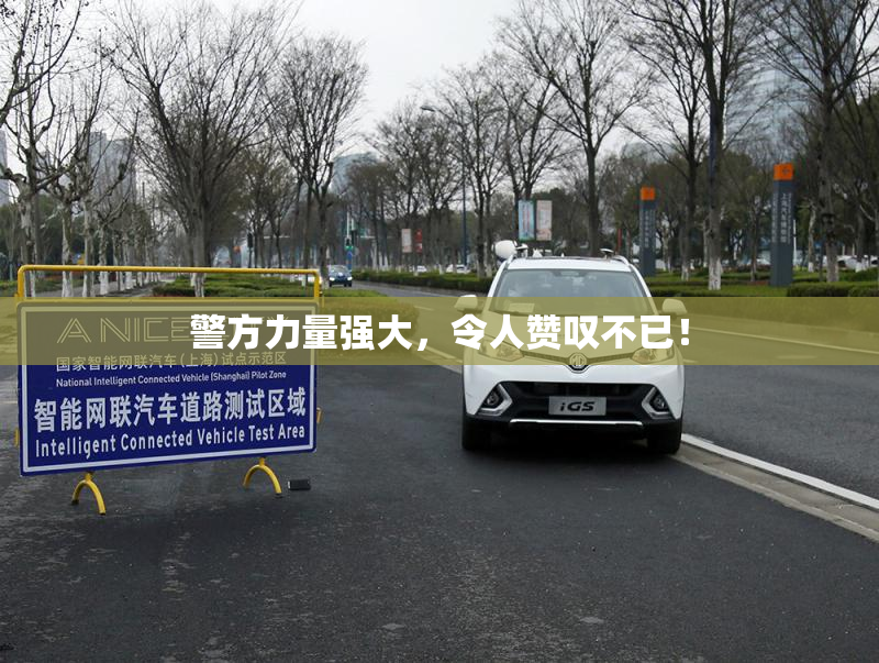 警方力量强大，令人赞叹不已！