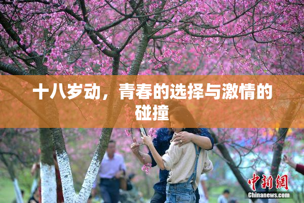 十八岁动，青春的选择与激情的碰撞