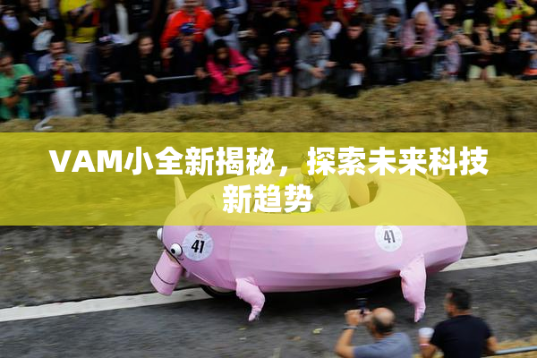 VAM小全新揭秘，探索未来科技新趋势