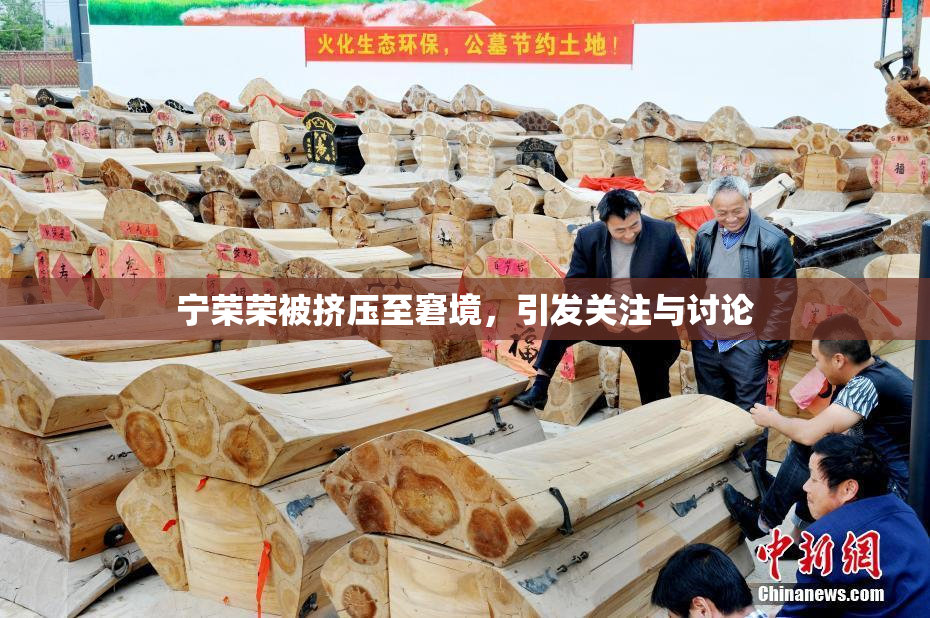 宁荣荣被挤压至窘境，引发关注与讨论