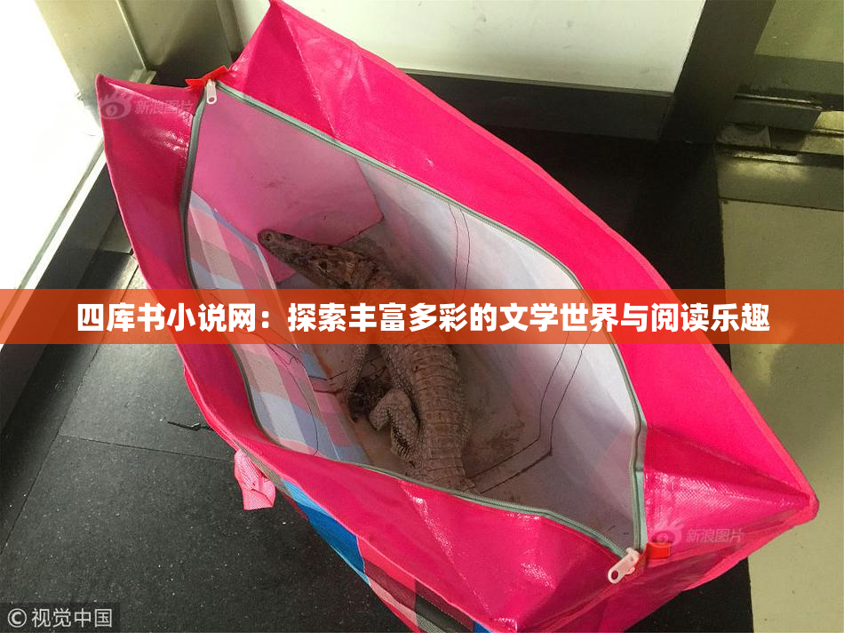四库书小说网：探索丰富多彩的文学世界与阅读乐趣