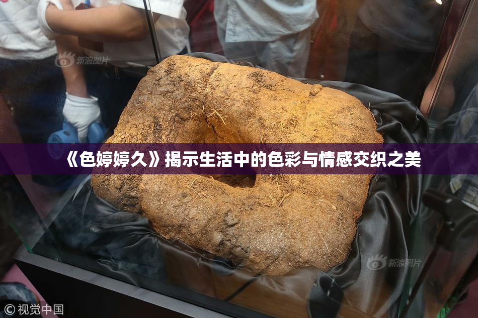 《色婷婷久》揭示生活中的色彩与情感交织之美