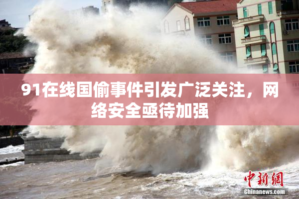 91在线国偷事件引发广泛关注，网络安全亟待加强