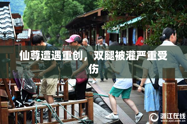 仙尊遭遇重创，双腿被灌严重受伤