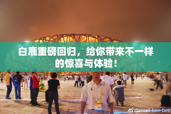 白鹿重磅回归，给你带来不一样的惊喜与体验！