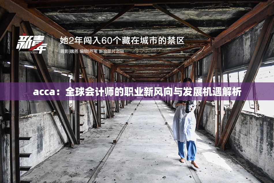 acca：全球会计师的职业新风向与发展机遇解析