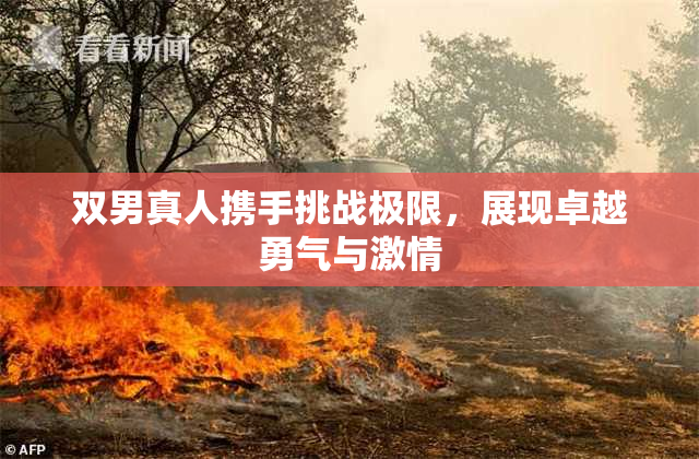 双男真人携手挑战极限，展现卓越勇气与激情