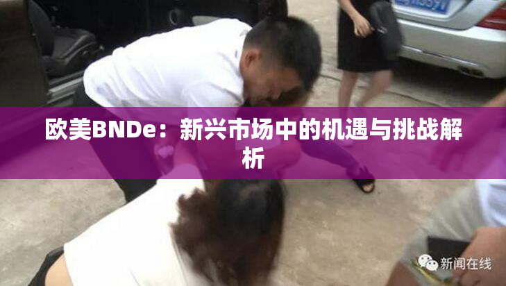 欧美BNDe：新兴市场中的机遇与挑战解析