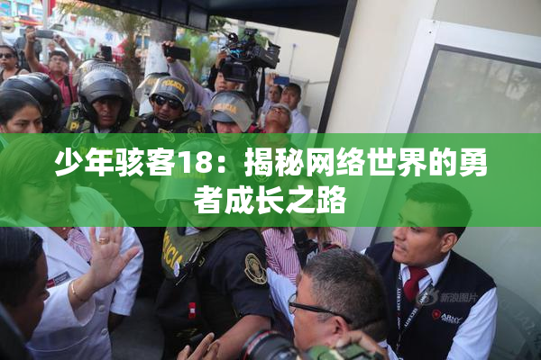 少年骇客18：揭秘网络世界的勇者成长之路