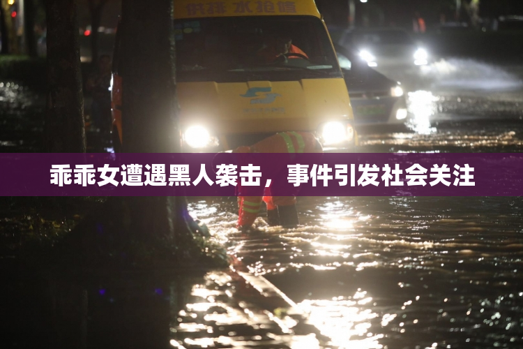 乖乖女遭遇黑人袭击，事件引发社会关注