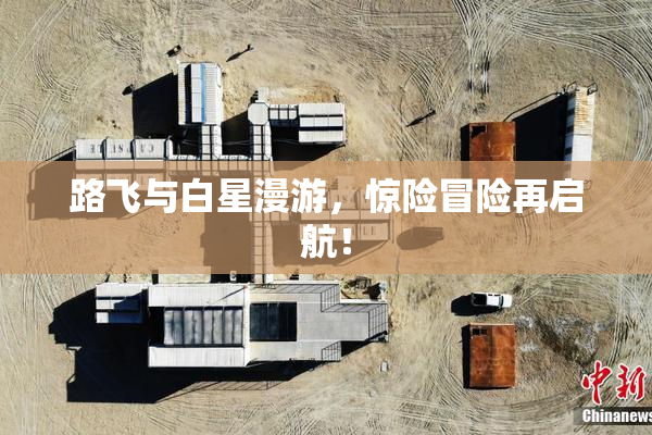路飞与白星漫游，惊险冒险再启航！