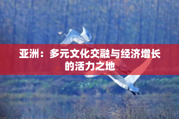 亚洲：多元文化交融与经济增长的活力之地