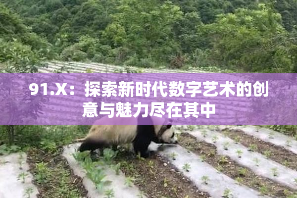 91.X：探索新时代数字艺术的创意与魅力尽在其中
