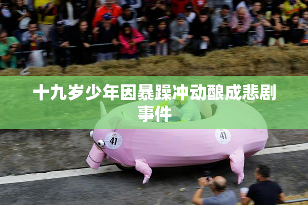 十九岁少年因暴躁冲动酿成悲剧事件