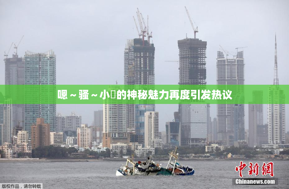 嗯～骚～小婬的神秘魅力再度引发热议