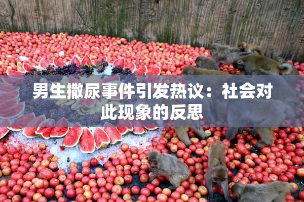 男生撒尿事件引发热议：社会对此现象的反思