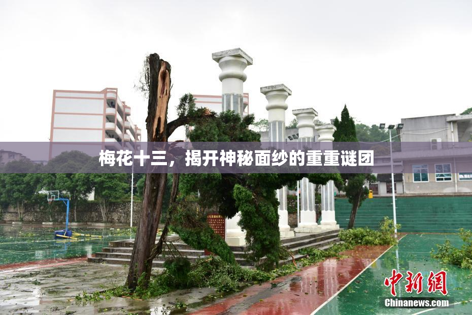 梅花十三，揭开神秘面纱的重重谜团