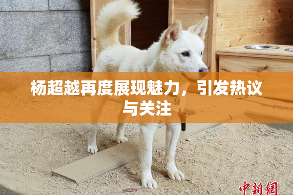 杨超越再度展现魅力，引发热议与关注