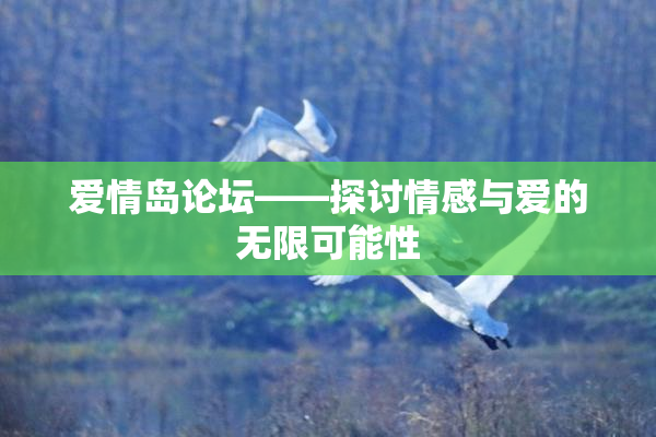 爱情岛论坛——探讨情感与爱的无限可能性