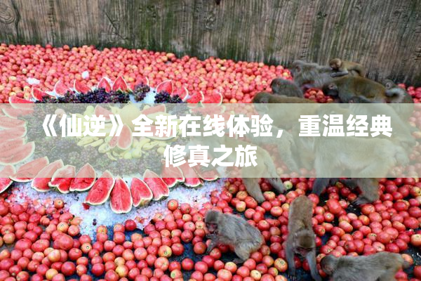 《仙逆》全新在线体验，重温经典修真之旅