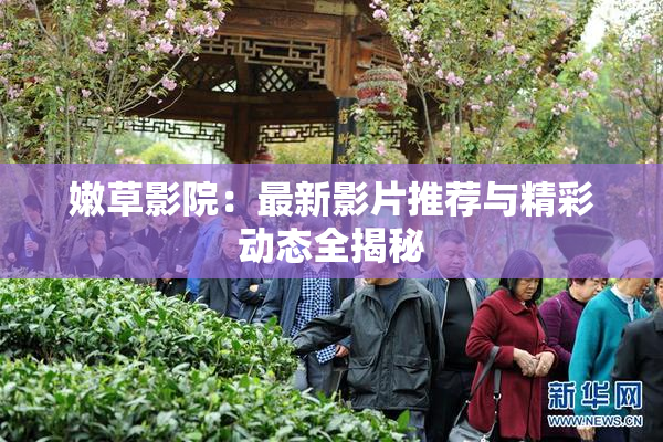 嫩草影院：最新影片推荐与精彩动态全揭秘