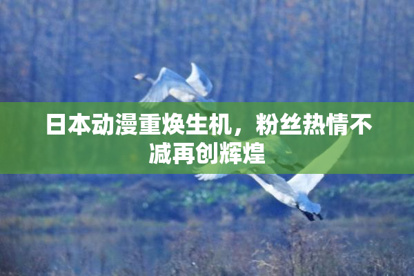 日本动漫重焕生机，粉丝热情不减再创辉煌